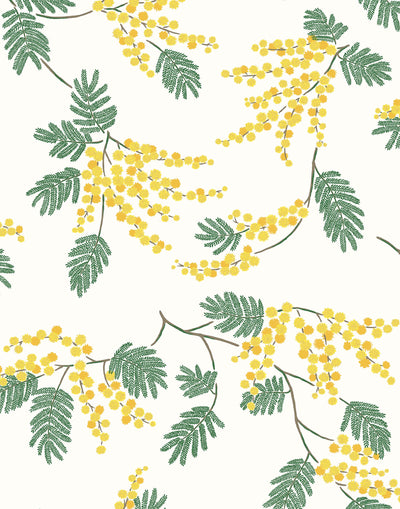 Wallpaper with yellow acacia flowers and green leaves on an off white background | Schoolhouse + Hygge & West