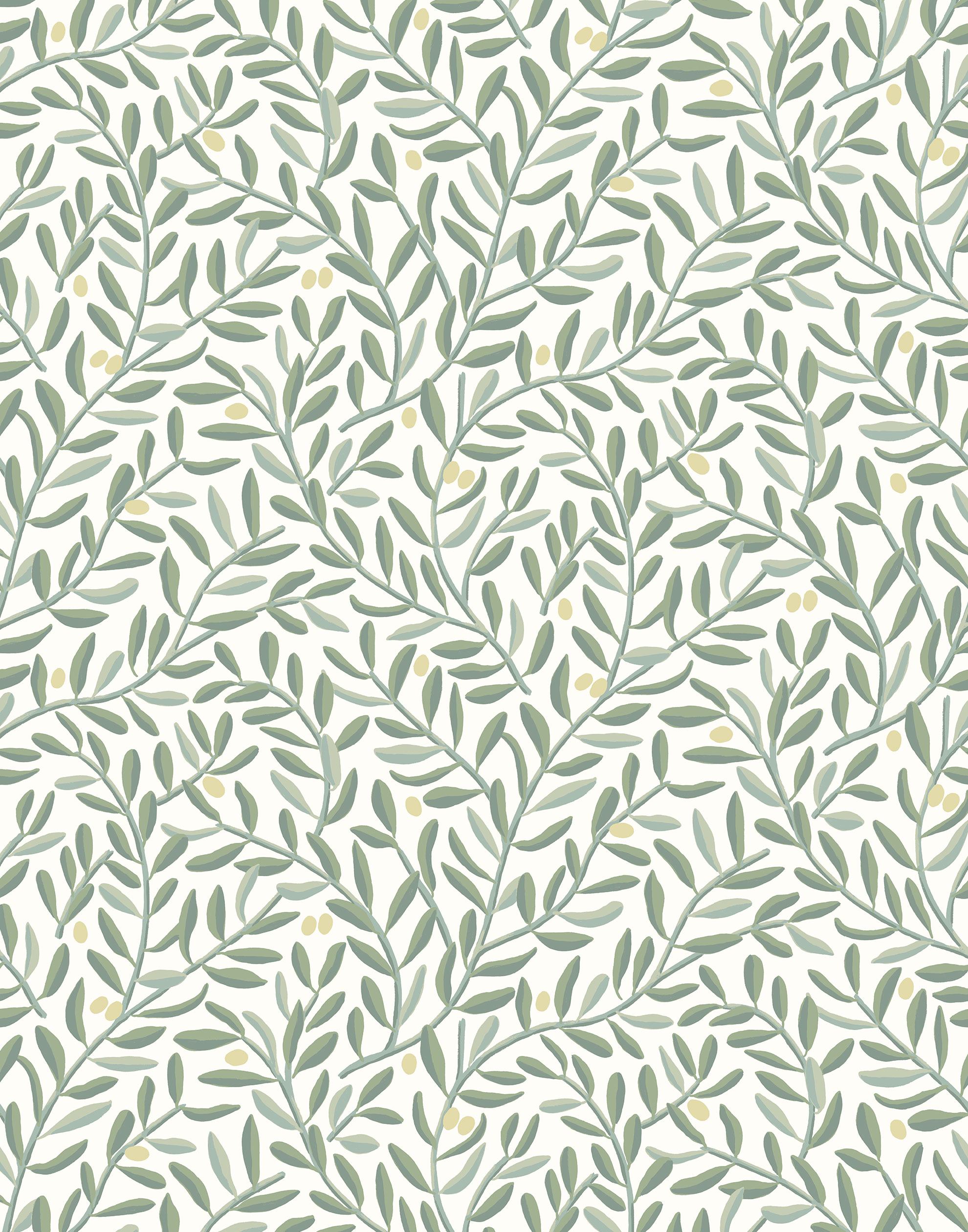 Wallpaper 4 Less Olive Green Solid wallpaper-57 Sq FT : Amazon.in: Home  Improvement